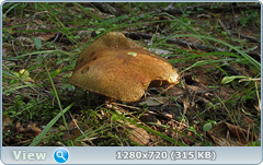 0_fb8d6_125d4693_orig.png