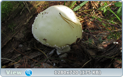 0_fbbb1_9fa87f33_orig.png