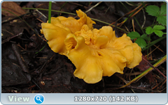 0_ead14_bb58de5_orig.png
