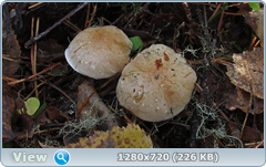 0_f380a_242a0ff6_orig.png
