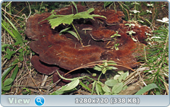 0_ea446_cc48db01_orig.png