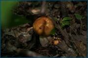 0_d3248_1d608172_orig.jpg
