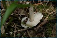 0_cf5e8_3c6534f9_orig.jpg