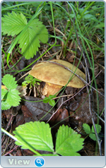 0_102dbf_464c8574_orig.png