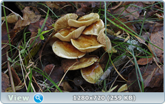 0_f3816_791c3281_orig.png