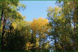0_c1b35_a399a88e_orig.jpg
