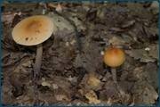 0_d254d_81dc668a_orig.jpg
