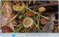 0_1070fc_653abfbb_orig.png