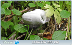 0_10b252_5a004604_orig.png