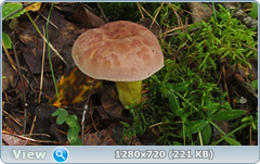 0_112183_1aa0ff5e_orig.png