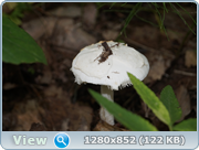0_d4bae_778b6451_orig.png