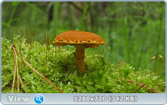 0_e97ec_1efa7bd8_orig.png