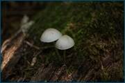 0_d092e_e7d59de0_orig.jpg
