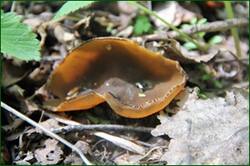 0_141c0d_eb151e5b_orig.jpg