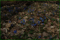 0_e0c7f_24ffe884_orig.png