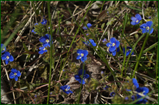 0_e1da0_46366466_orig.png