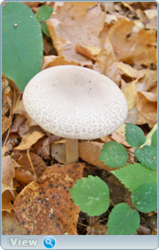 0_f514f_e05ed12c_orig.png