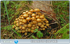 0_e960a_9f241e79_orig.png