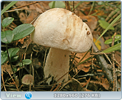 0_eb6fc_39a2c1ab_orig.png