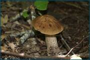 0_d2571_7846c0d_orig.jpg