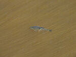 0_aa008_712dd9f1_S.jpg