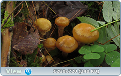 0_e6d15_c72dd84e_orig.png