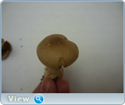 0_1305c5_ceb98716_orig.png