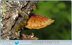 0_e782f_fda14dee_orig.png