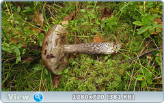 0_efe75_574b6d27_orig.png