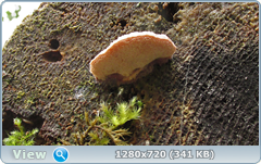 0_eb00d_c80809c6_orig.png