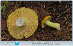 0_fbb2e_8f7cabe1_orig.png