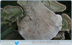 0_ea428_45b783d7_orig.png