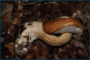 0_d2410_b104c332_orig.jpg