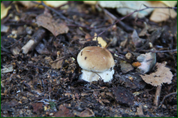 0_10b926_6128e661_orig.png