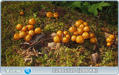 0_e6b7d_4848bee6_orig.png