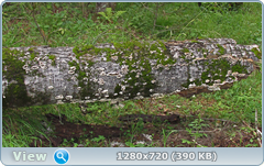 0_ea41e_71b52551_orig.png