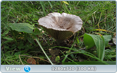 0_fb9d0_52c3a75b_orig.png