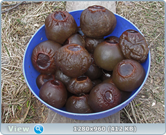 0_103809_a235306c_orig.png