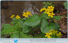 0_10593b_f562b575_orig.png