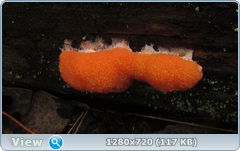 0_109315_77c5baed_orig.png