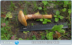 0_10c4c4_a3dc7b03_orig.png
