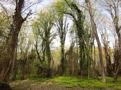 0_7925a_307e5d6f_M.jpg