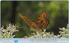0_e6d25_703bb3f3_orig.png
