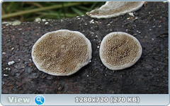 0_e9500_90fc4c0c_orig.png