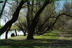 0_e248d_6f080d9e_orig.png