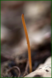 0_10399a_f7b6f0fa_orig.png