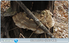 0_103dd9_93787282_orig.png