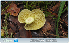 0_10dd78_8a40adac_orig.png