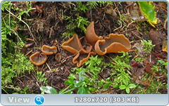 0_1108a2_fd862264_orig.png