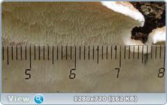 0_1108dd_94abdcd9_orig.png